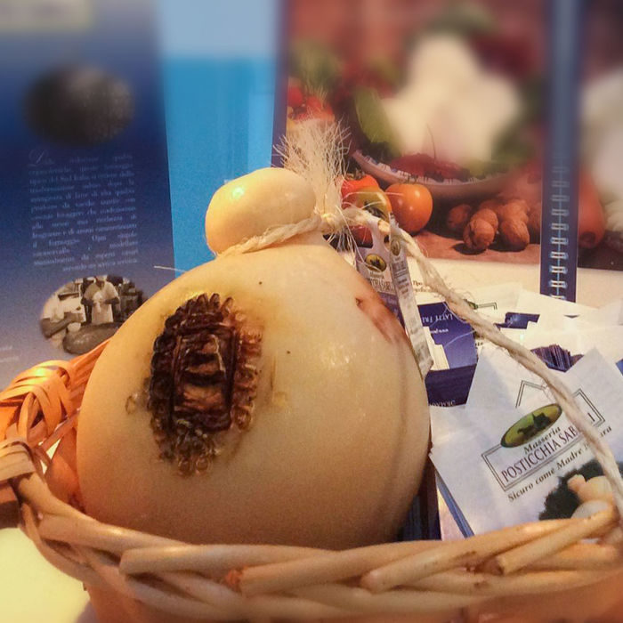 CACIOCAVALLO PODOLICO